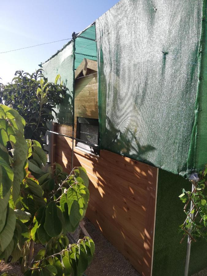 Casita de Verde Santa Cruz de Tenerife Exterior foto